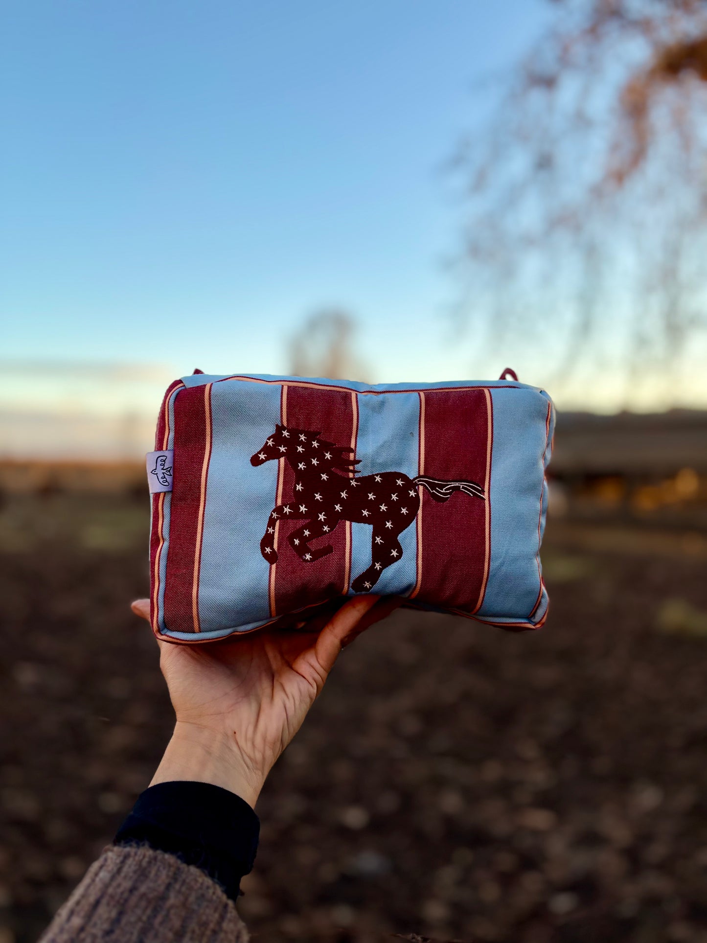 Estuche XL Rayas Burdeo Celeste